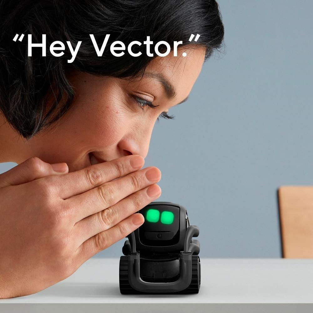 AI ChatGPT 2.0接続ロボットコンパニオン、顔認識 - Smart Home Battery Camera のレビューと価格