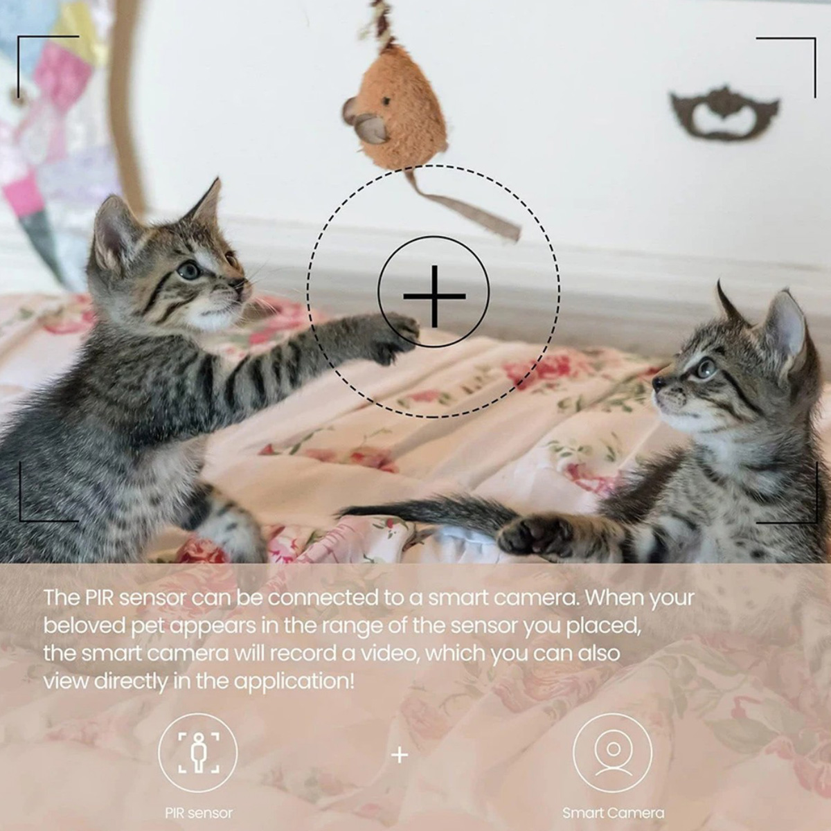 ZigBee 3.0 PIR モーションセンサー ワイヤレス - Smart Home Zigbee 3.0 のレビューと価格